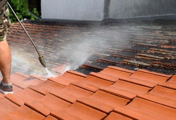 Best Exterior Home Cleaning  in White Sands, NM