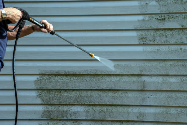 Best Roof Pressure Washing  in White Sands, NM