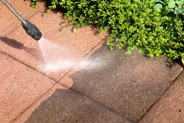 Best Deck Cleaning Services  in White Sands, NM